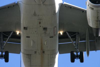 u37/bruce_j/medium/24149927.Planespotting2.jpg