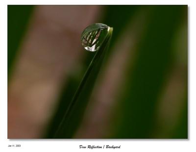 Dew Reflection