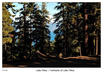 Lake Tahoe thru the trees