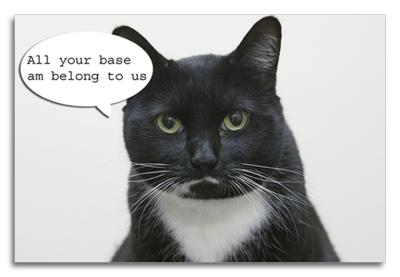 All Your Base