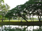 A serene scene.