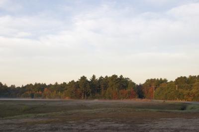 slt_beatonbogs_095.jpg
