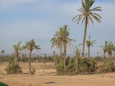 Marrakech