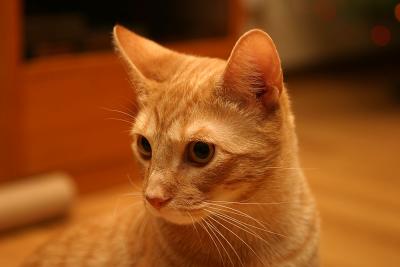 IMG_2967.jpg