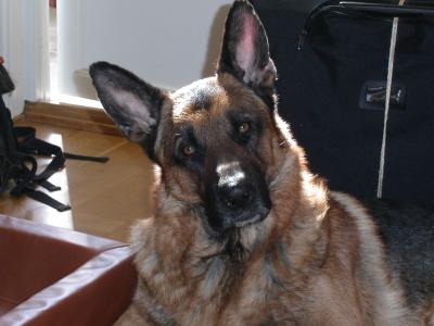 u37/ceicli/medium/24116058.Blandataprilmaj03004.jpg