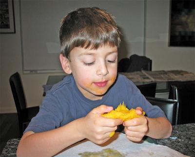 Jacob confronting his first mango ...