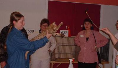 Wilma goes wild med vippan :)