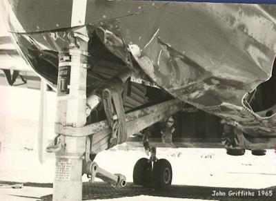 Damaged Caribou 3 1965.jpg