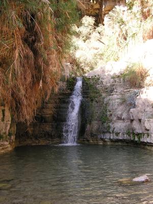 One of David's Falls
