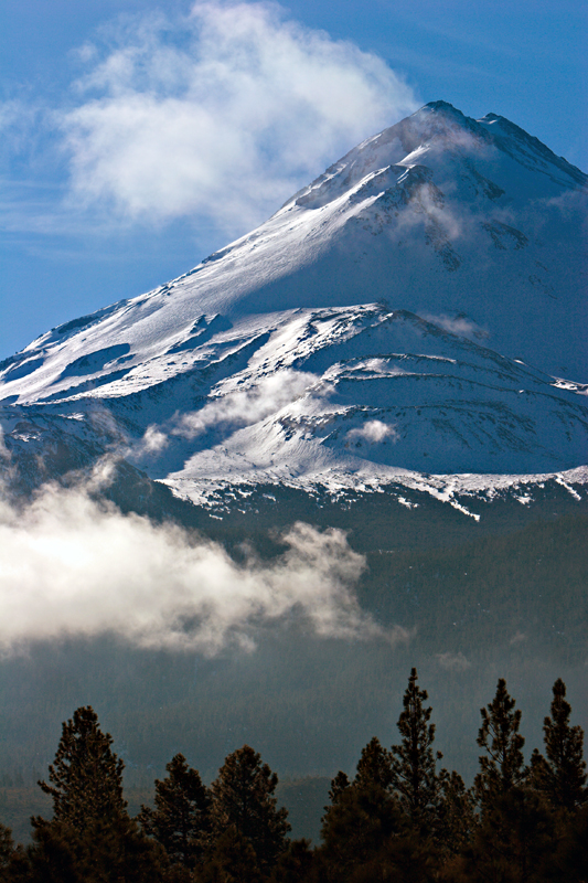 Mount Shasta