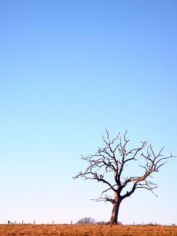 December 7 2003: <br>A Winters Day