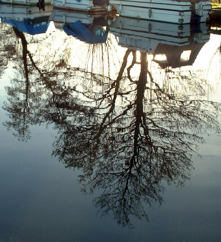 December 15 2003:<br> Triggs Lock Re-Crop