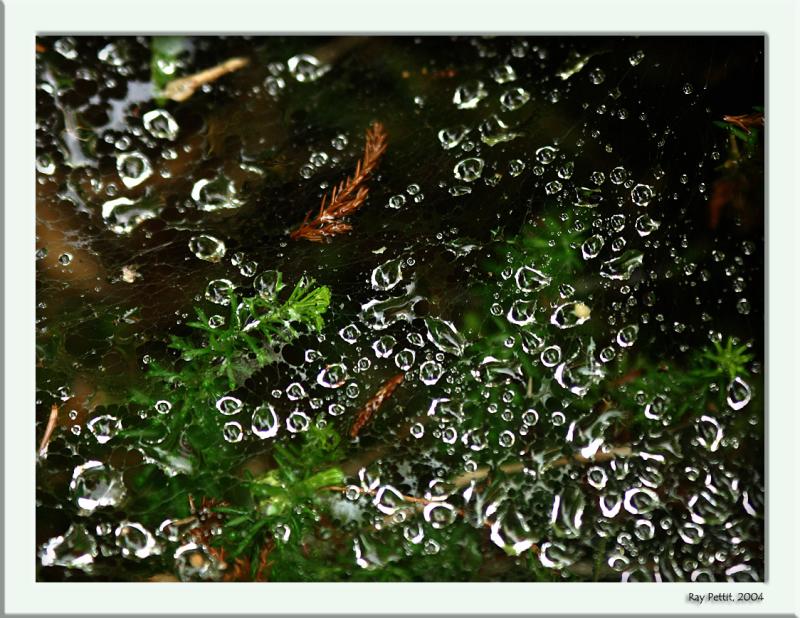 August 3 2004: <br> After the Rain