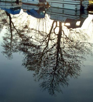 December 15 2003: Triggs Lock Re-Crop