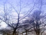December 5 2003: <br> Nothing but Blue Sky..