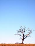 December 7 2003: <br>A Winters Day