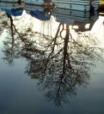 December 15 2003:<br> Triggs Lock Re-Crop
