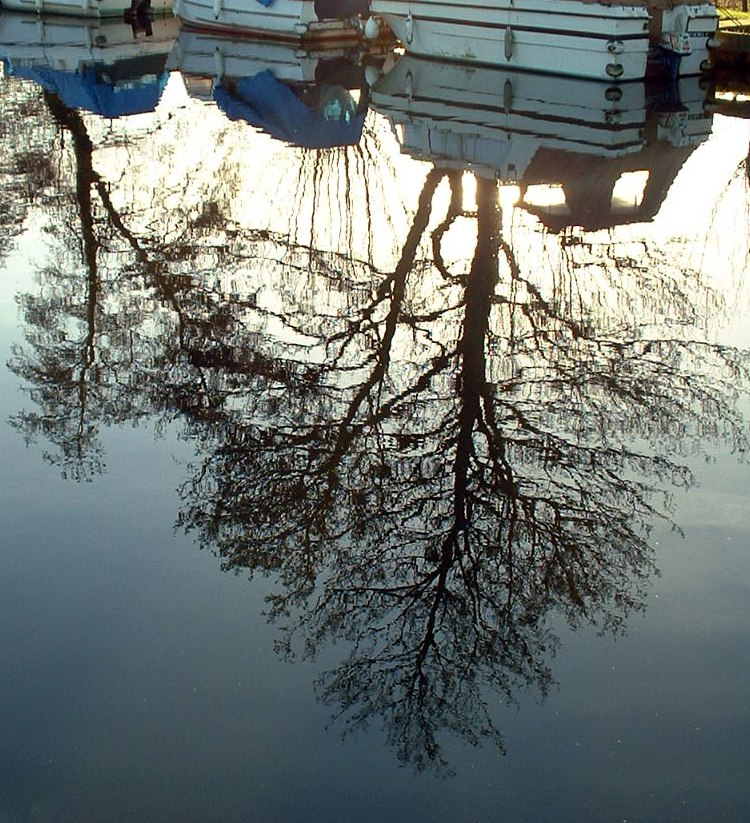 December 15 2003:<br> Triggs Lock Re-Crop