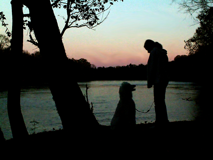 DSCF1567_filteredxxA2e.jpg