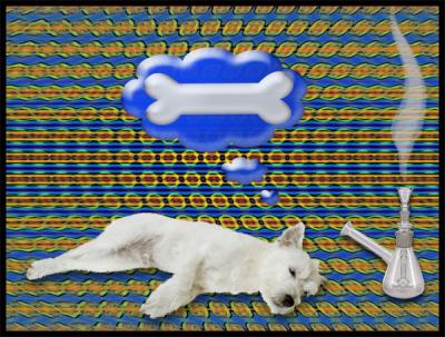 Dog-Gone