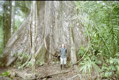 Me in front of a large tree, Manu Jungle