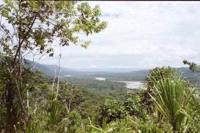 Edge of the lowland jungle, Upper Madre de Dios river, Manu