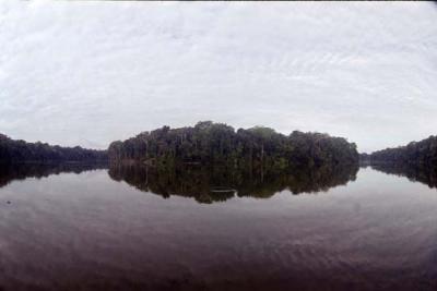 Oxbow lake, Manu Jungle