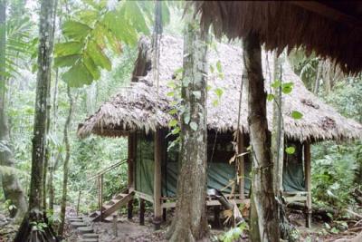 Campsite deep in the Manu Jungle