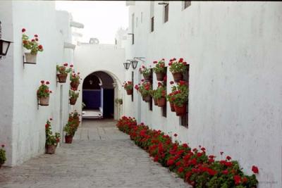 Santa Catalina Monastery, Arequipa