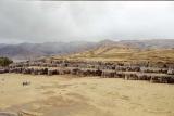 Fortress of Sacsayhuaman, Cusco