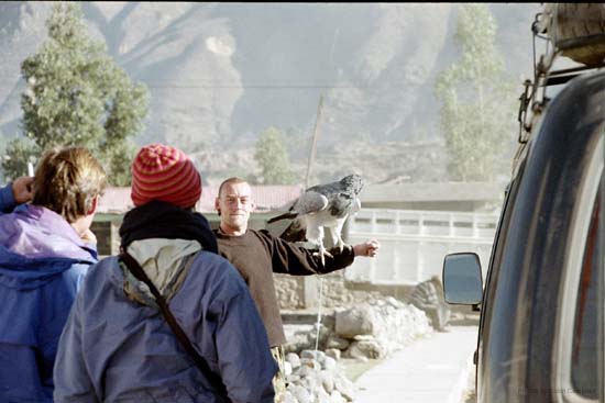 Phil with a tame eagle, Colca Canyon