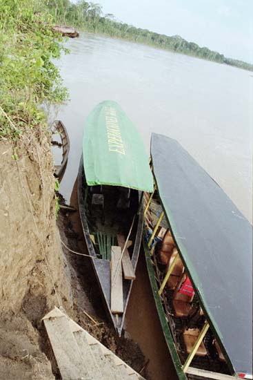 My Boat, Manu River, Boca Manu
