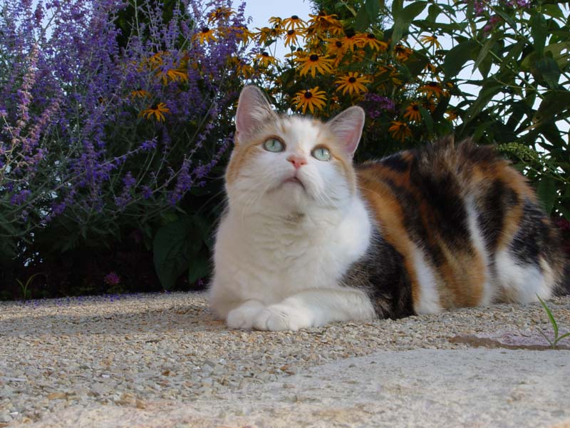 DSC07017.JPG