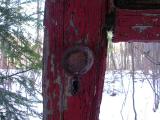 red door in the forest - 2