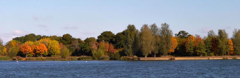 <b>Caldecote Lake</b> *<br>by Phil M