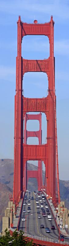 <B>Standing tall and golden...</B><BR>by Ninad