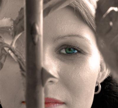 Between-two-Thornsthubleau