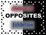 Exhibition Gallery