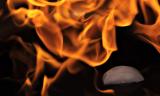 <b>Burning Cold*</b><br><font sige=3>by Tim Dahl</font>