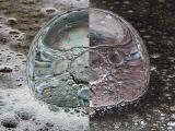 <b>Bubbles and glass</b> by Rob Taylor