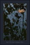 10th place <b>Dead In The Water, Hanging In There... </b>  <br> * Lev Bass