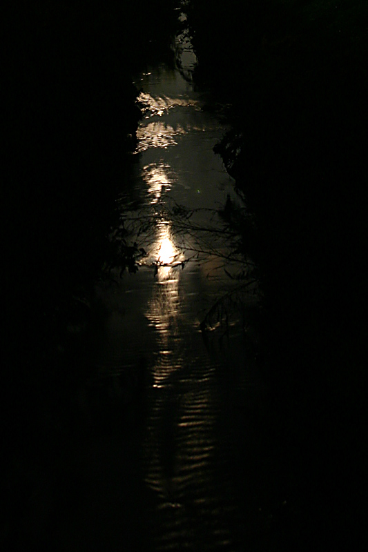 <b>Moonlight symphony*</b><br>by Bong