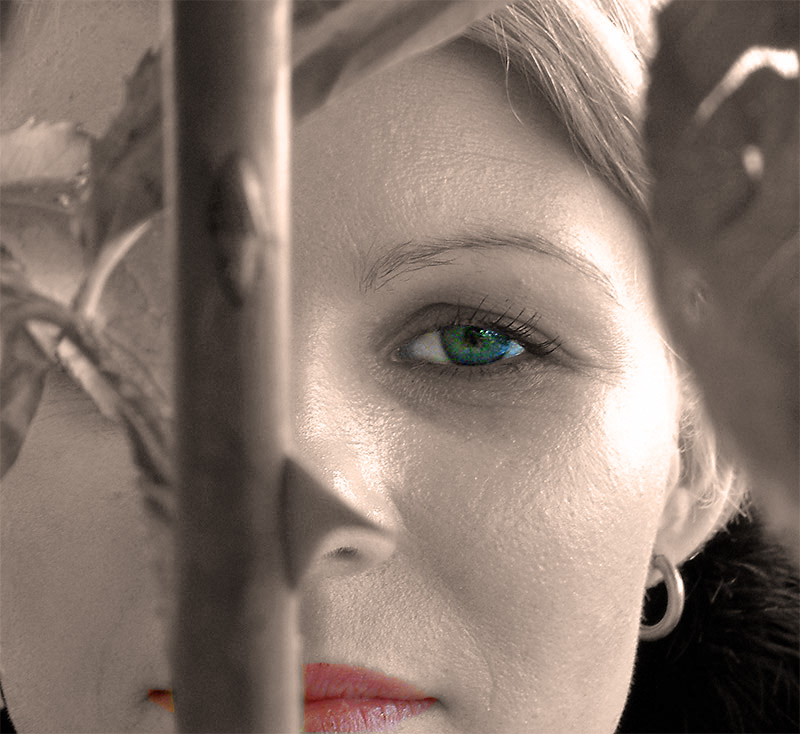 <b>Between-two-Thorns</b><br><font size = 2>thubleau