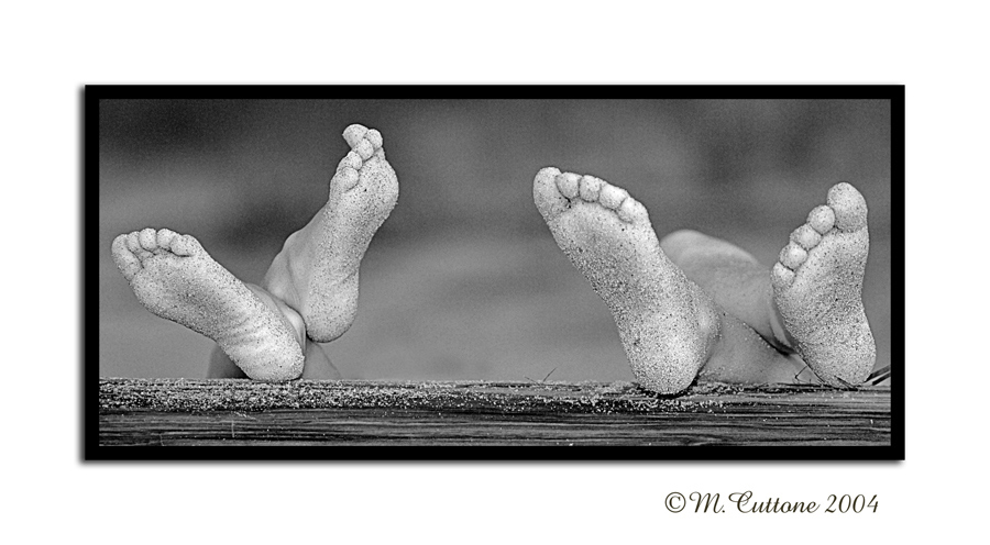 <b>3rd Place</b><br><i> Just the two of US <br>by Mike C</i>