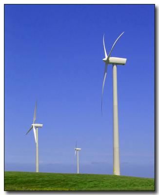 The Wind Farm (*)