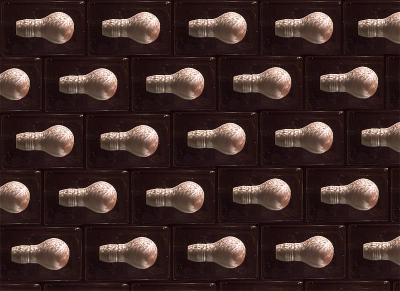 Bulb Wall *