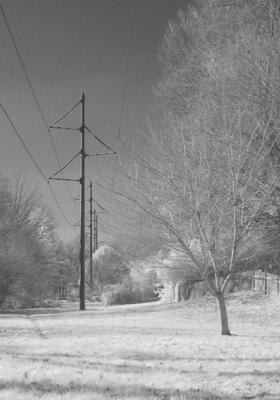 Power Poles in a Line