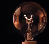 Bulb #1 *