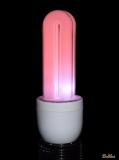 Neon Bulb(*)