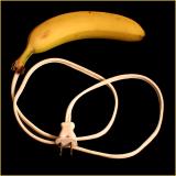 <b>E-lec-trical Banana</b> *
